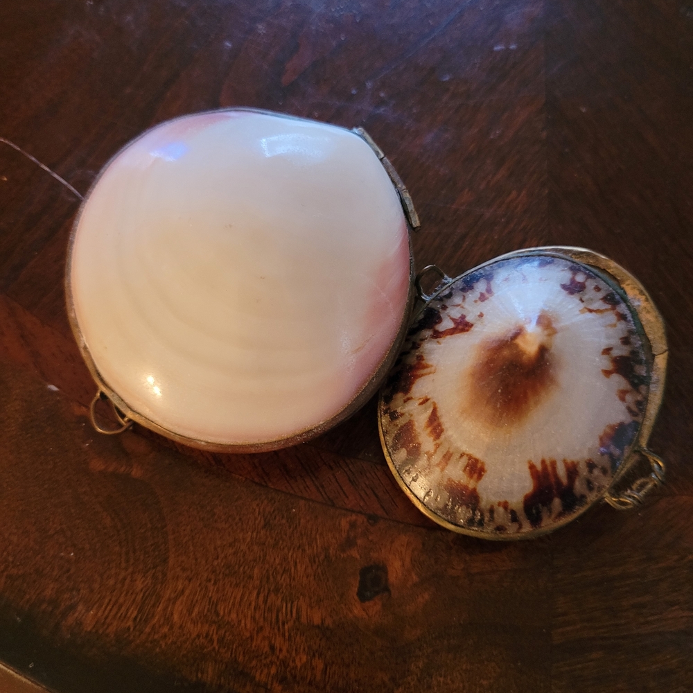 Seashell Clasp Trinket Holder  or Coin Purse - White & Brown Shells